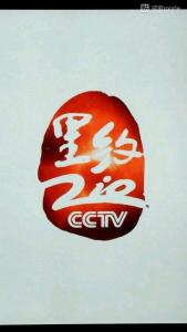 2016年里约奥运会期间的新二级台标