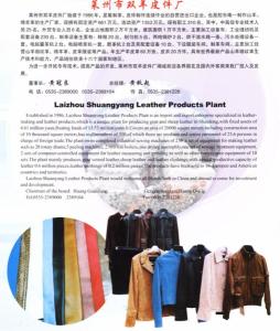 莱州市朱桥镇