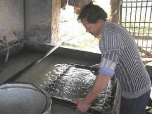 洞市皮纸坊