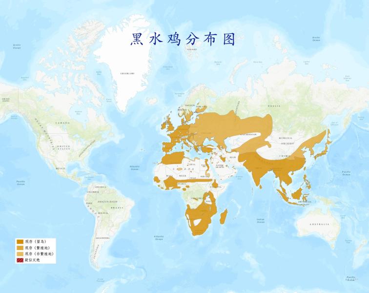 黑水鸡分布图
