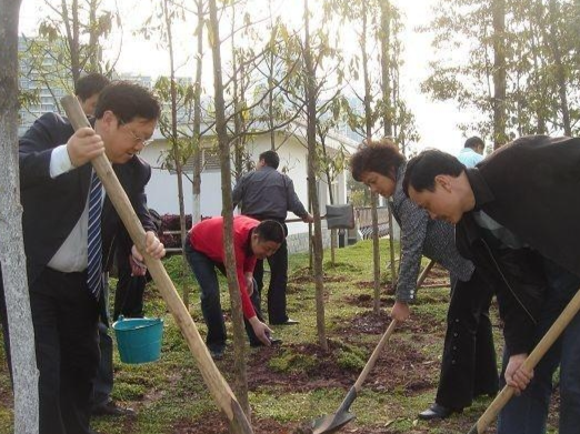 清明节植树