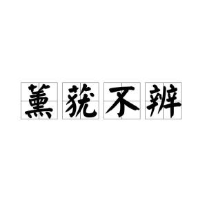 不什么什么辨的成语_不舍得字有什么成语(5)