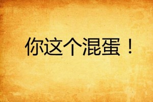 你这个混蛋