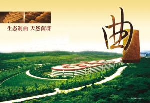 舍得酒业