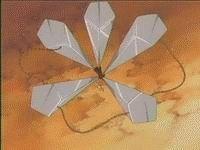 缚道之七十五 五柱铁贯