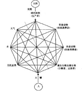 草地生态系统的组成成分和影响因素及它们之间的相互关系