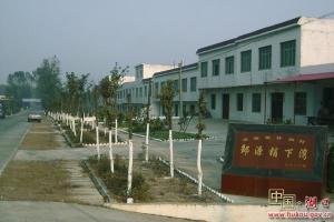 流泗镇图片