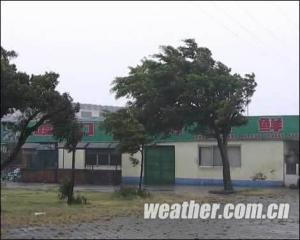 “芭玛”袭来，广西沿海城市狂风暴雨
