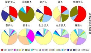 东亚Y染色体单倍群分布图