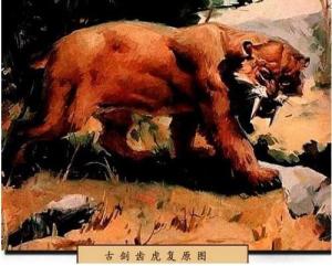 合并图册