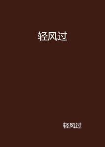 轻风过番外 300