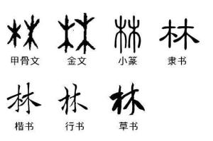 “林”字