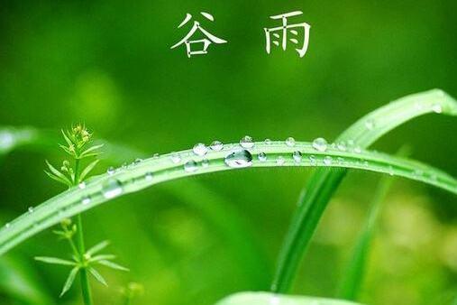 è°·é›¨ äºŒåå››èŠ‚æ°