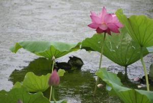 学校风光