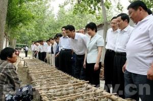 潼阳镇相关图片