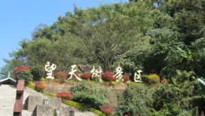 望天树景区