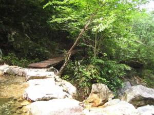 箬寮岘