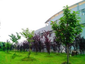 北津学院