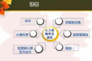 诱因 _ 百科