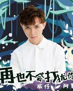 不再去打扰你歌曲 300