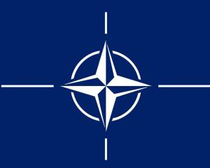 北大西洋公约组织