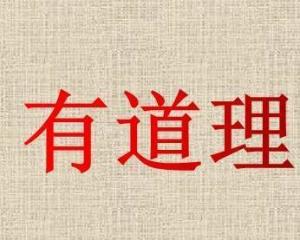 有道理