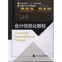 会计信息化