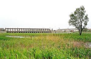 中山河闸高清大图