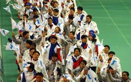 朝鲜韩国联合代表团