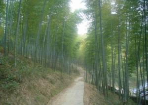 车岭古道