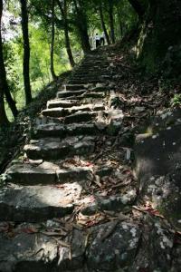 泰顺叶山村之古驿道