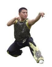 达摩拳