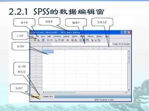 SPSS软件界面