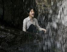 千年鹤
