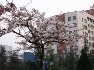 贵州工业职业技术学院