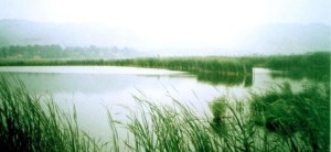 合阳县