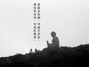 菩提本无树