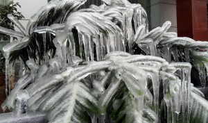 凯里凝冻天气