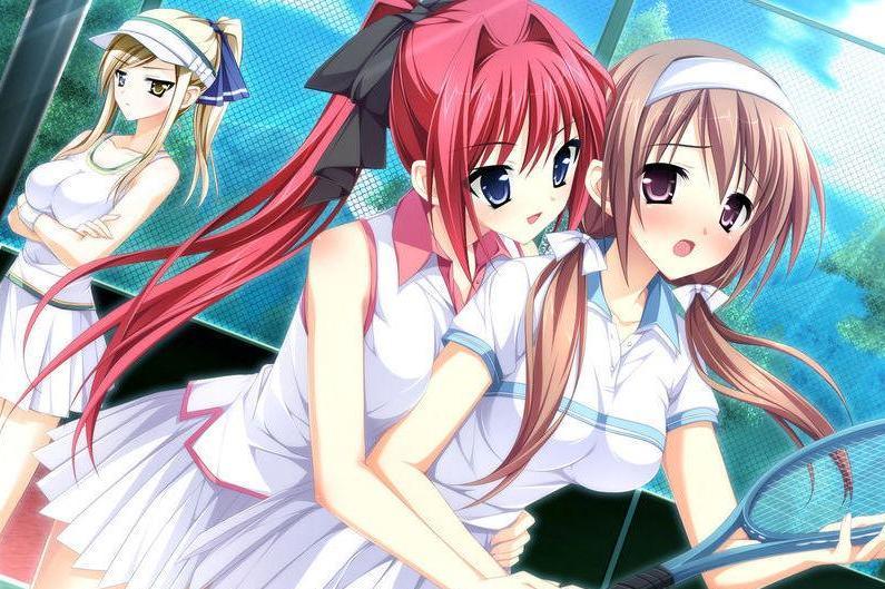 少女编织爱的画布 Ensemble发行的adv游戏 搜狗百科