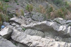 冰川地质学的诞生地