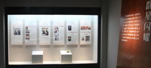 群星闪耀 群星闪耀