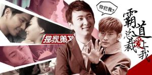 免费的小说总裁系列 300