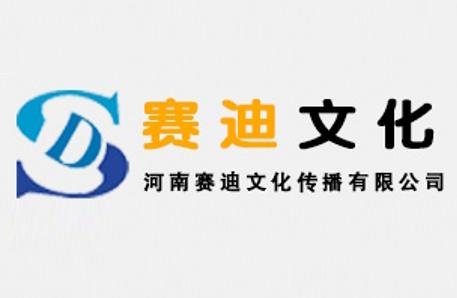 赛迪集团是什么 0