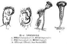 图2-40