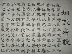 捕蛇者说