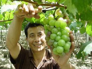 石江乡