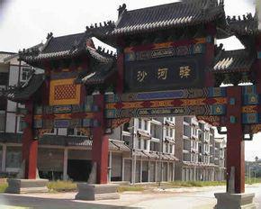 沙河总人口_沙河王酒价格表和图片(2)