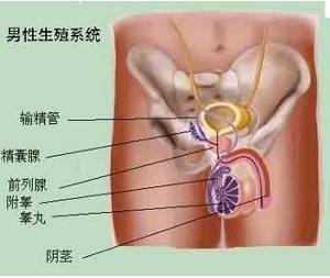 逆行射精