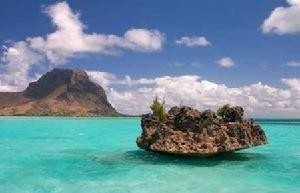 毛里求斯岛