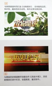 国际合作
